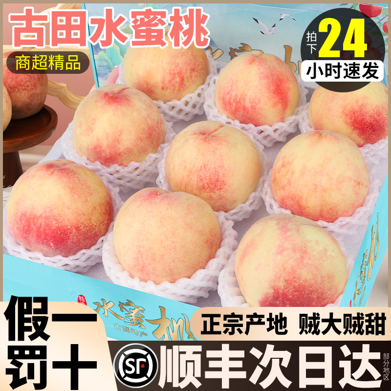 顺丰送货上门【脆甜古田水蜜桃】