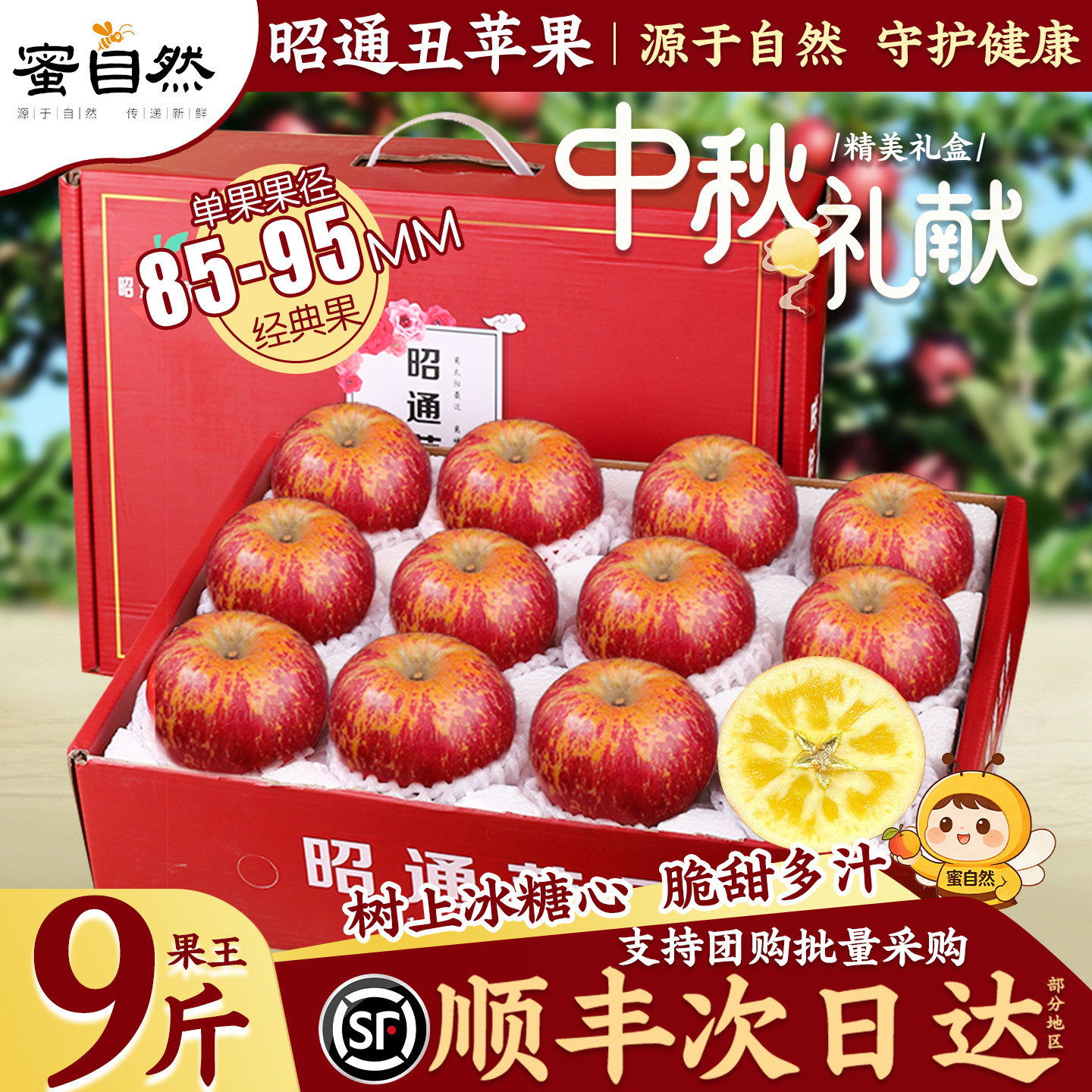 【官方推荐】冰糖心昭通丑苹果