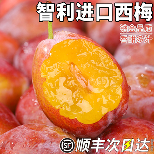 顺丰包邮5斤智利进口西梅鲜果新鲜李子当季水果整箱包邮应季孕妇