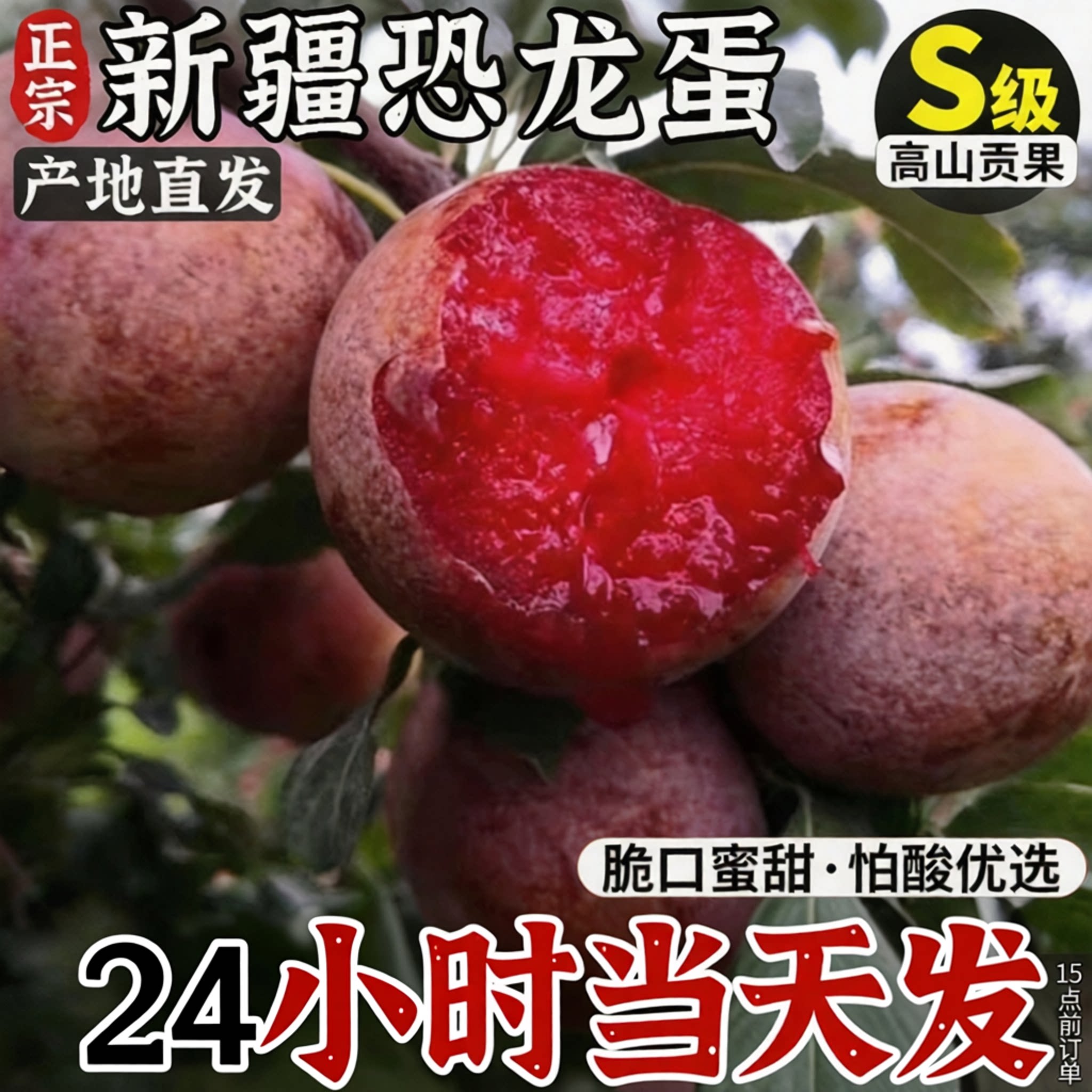 【顺丰次日达】正宗新疆恐龙蛋