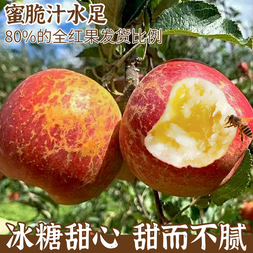 顺丰次日达丨昭通冰糖心丑苹果