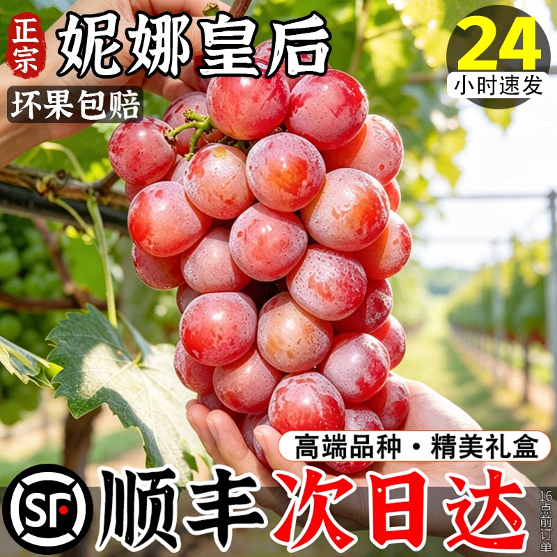 顺丰次日达丨妮娜皇后葡萄4斤
