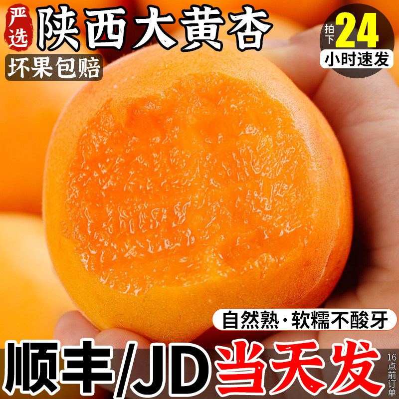 陕西杏子现摘大黄杏现货水果新鲜整箱包邮时令酸甜杏斤凯特孕妇10