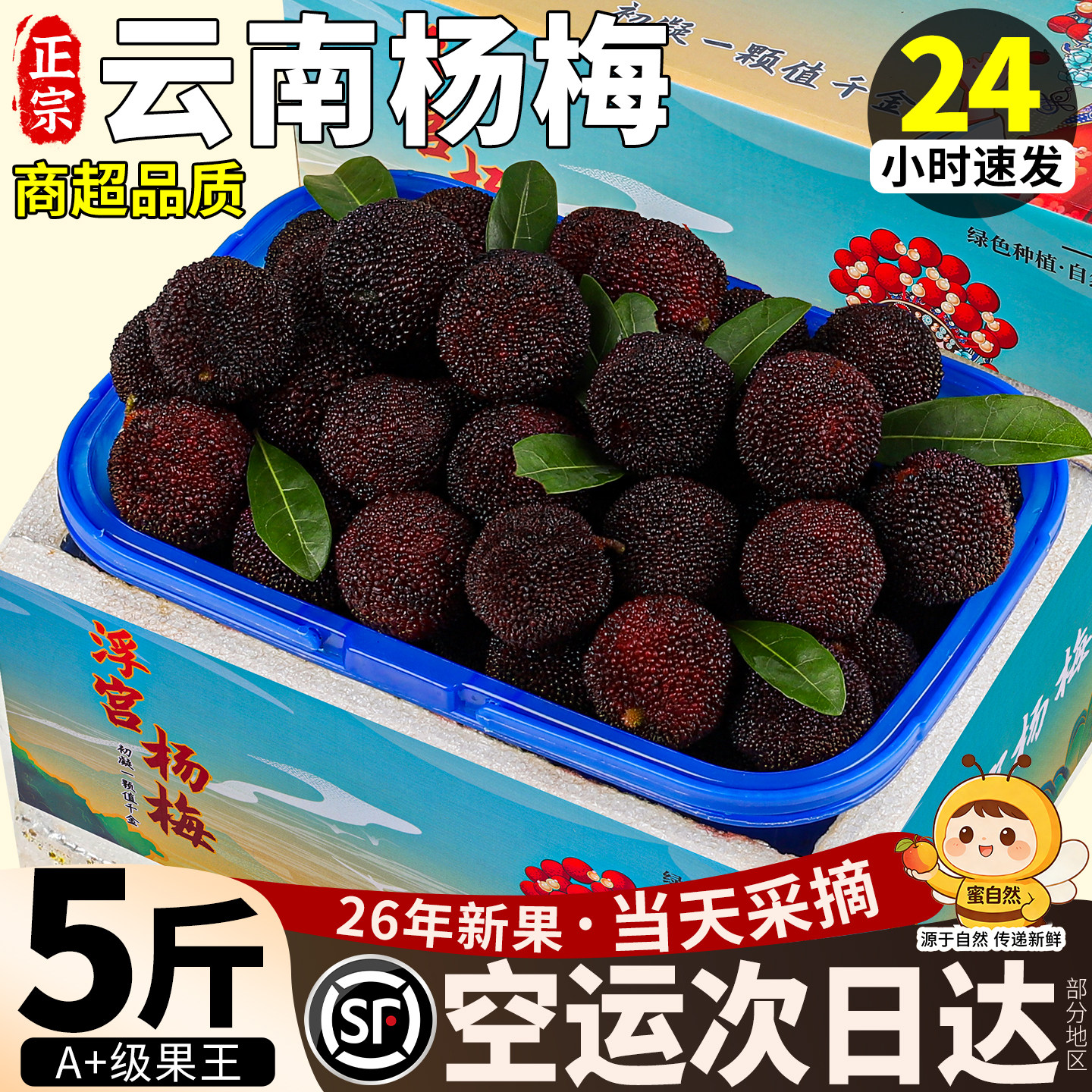 现货顺丰空运 正宗云南杨梅鲜果新鲜现摘现发当季水果5斤礼盒装