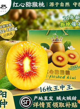 【官方推荐弘阳品种】红心猕猴桃