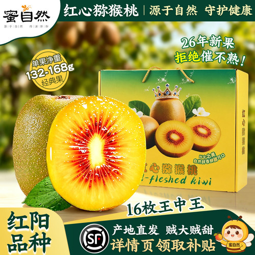 【官方推荐弘阳品种】红心猕猴桃