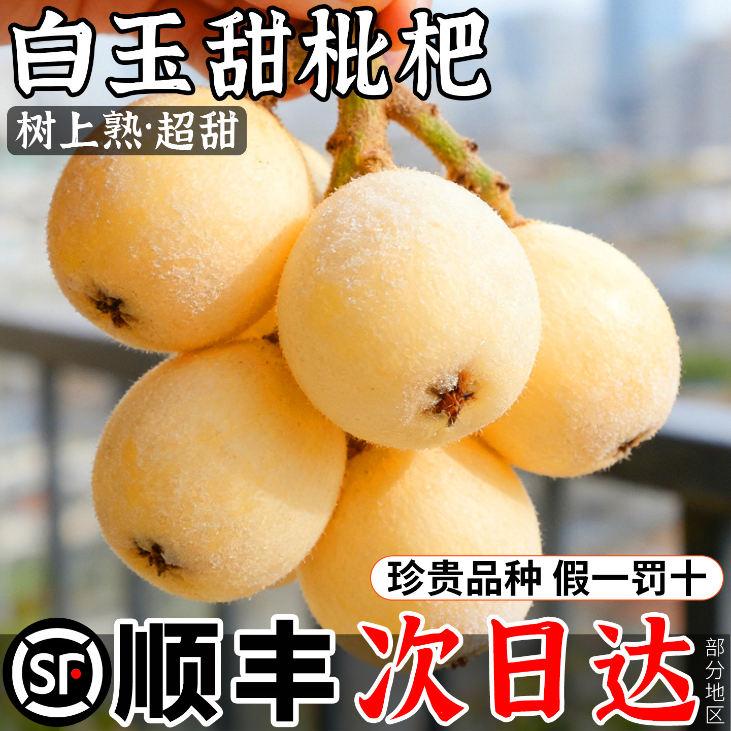 顺丰现货正宗白玉枇杷鲜果高端水果新鲜现摘5斤礼盒装整箱包邮