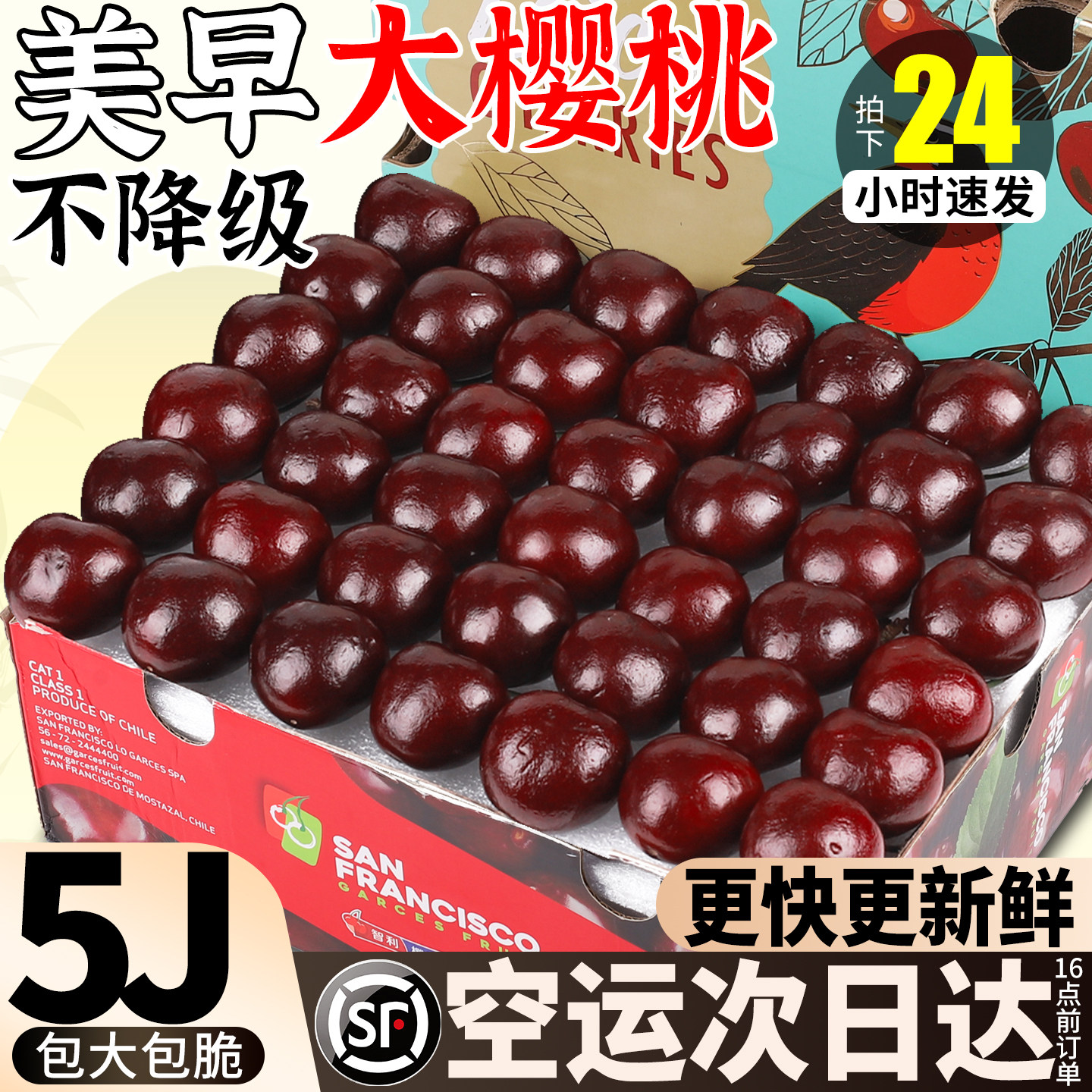 美早大樱桃丨顺丰空运更快更新鲜