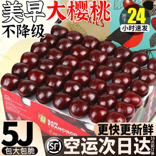 美早大樱桃丨顺丰空运更快更新鲜