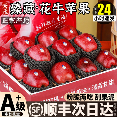 顺丰正宗天水花牛苹果10斤新鲜应季苹果红蛇粉面宝宝老人辅食刮泥