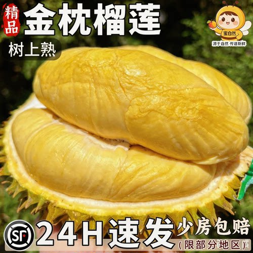 顺丰次日达丨泰国10斤金枕榴莲