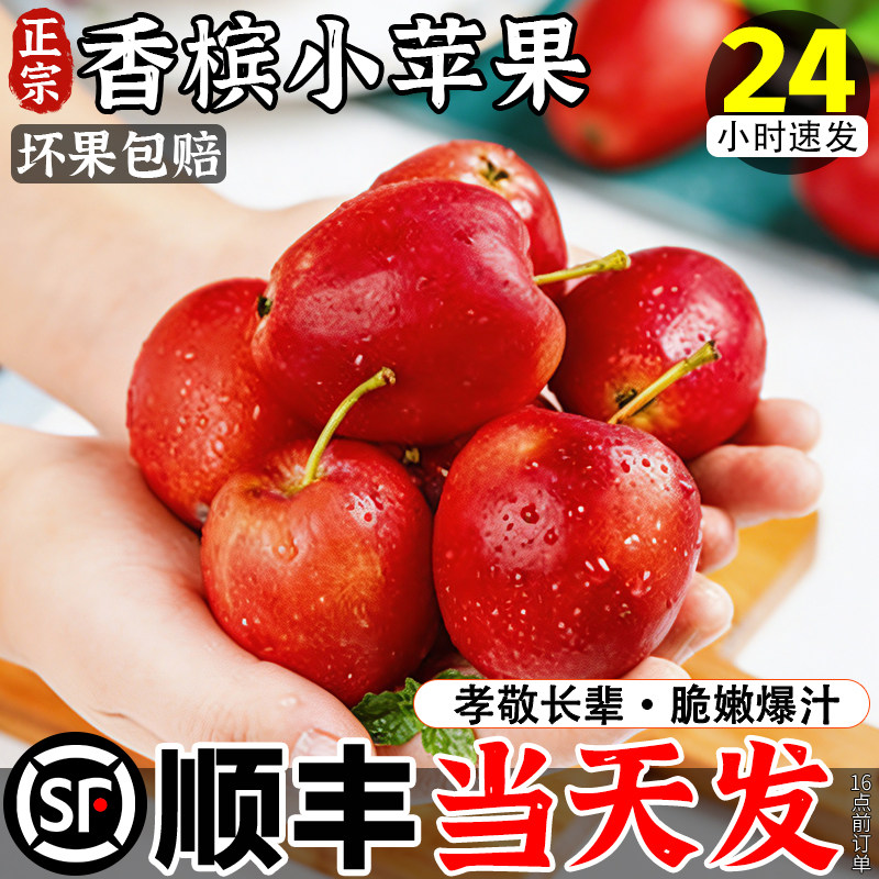 【稀奇品质】香槟小苹果试吃尝鲜