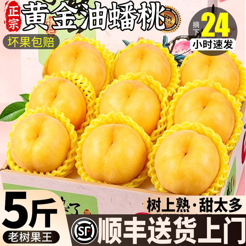 黄金油蟠桃新鲜水果应当季现摘奶油黄蟠桃脆甜纽扣彩虹油桃子大果