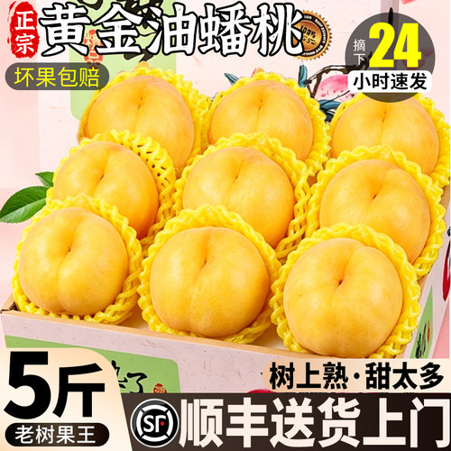 【顺丰送货上门】老树蟠桃果王
