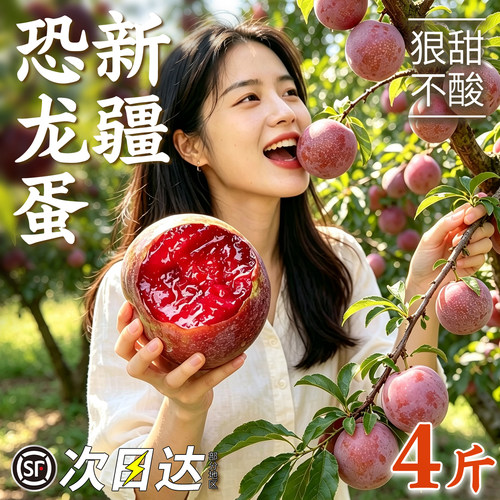 【顺丰次日达】正宗新疆恐龙蛋