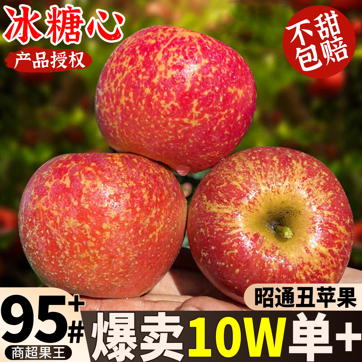 冰糖心爆甜丨昭通丑苹果树上熟