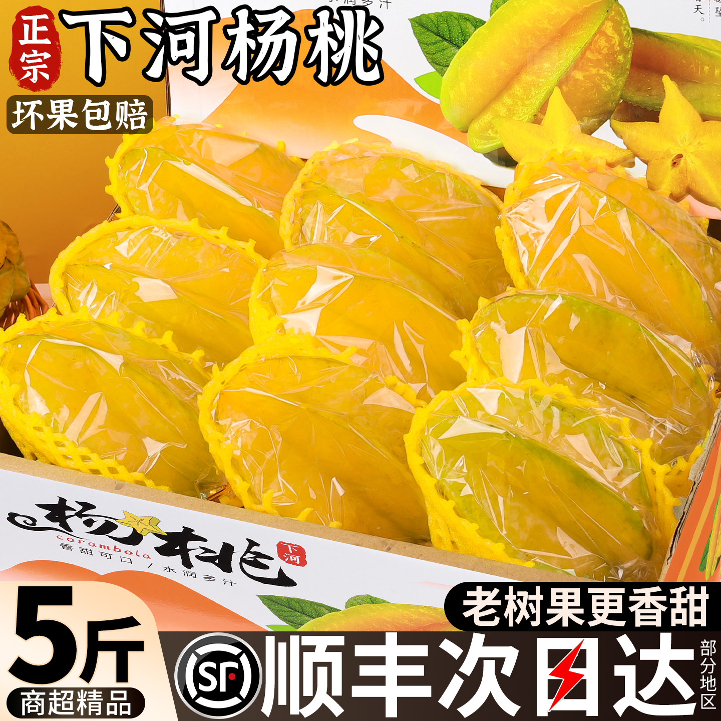 【顺丰送货上门】福建漳州杨桃