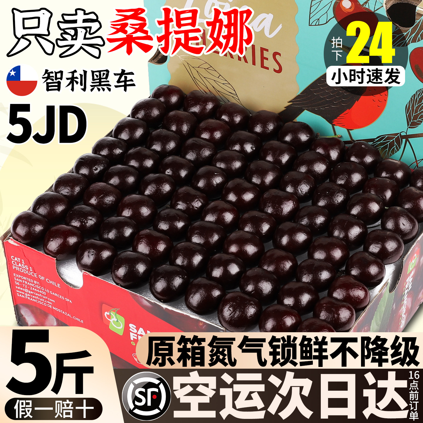 5斤5J智利桑提娜车厘子新鲜水果官方旗舰店樱桃整箱包邮原箱礼盒,水产肉类/新鲜蔬果/熟食,车厘子/樱桃,淘宝优惠券,粉丝福利购,淘宝优惠卷
