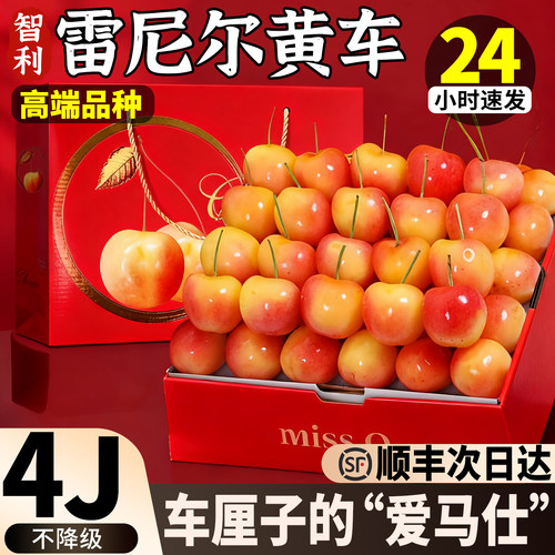【顺丰次日达】智利雷尼尔黄车