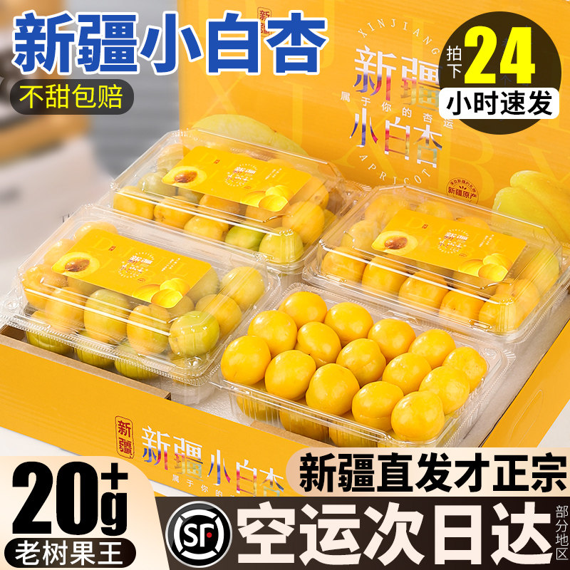 顺丰空运新疆小白杏新鲜水果当季特产轮台官方旗舰店红吊干杏子5