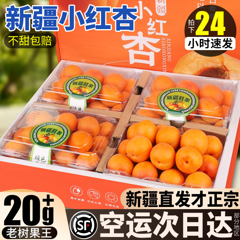 顺丰空运新疆小红杏新鲜水果当季特产轮台官方旗舰店吊干杏子甜杏