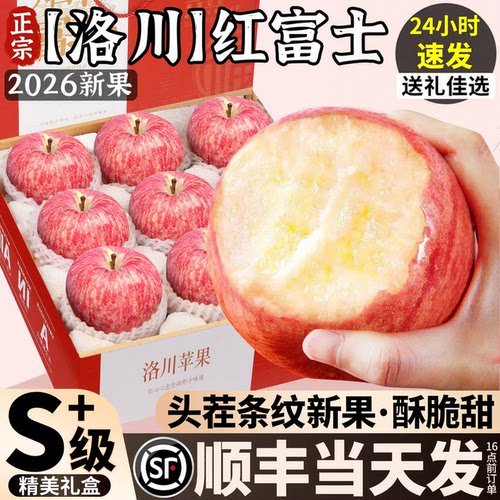 【产地直发】真洛川红富士
