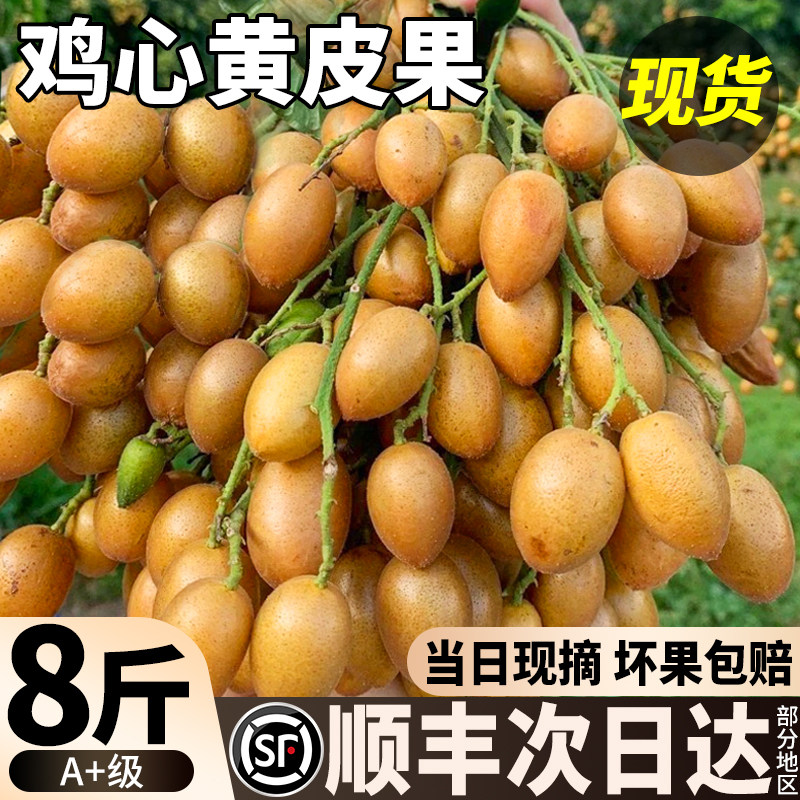 顺丰 广东鸡心黄皮果新鲜8斤冰糖当季现摘酸甜黄弹子孕妇水果包邮