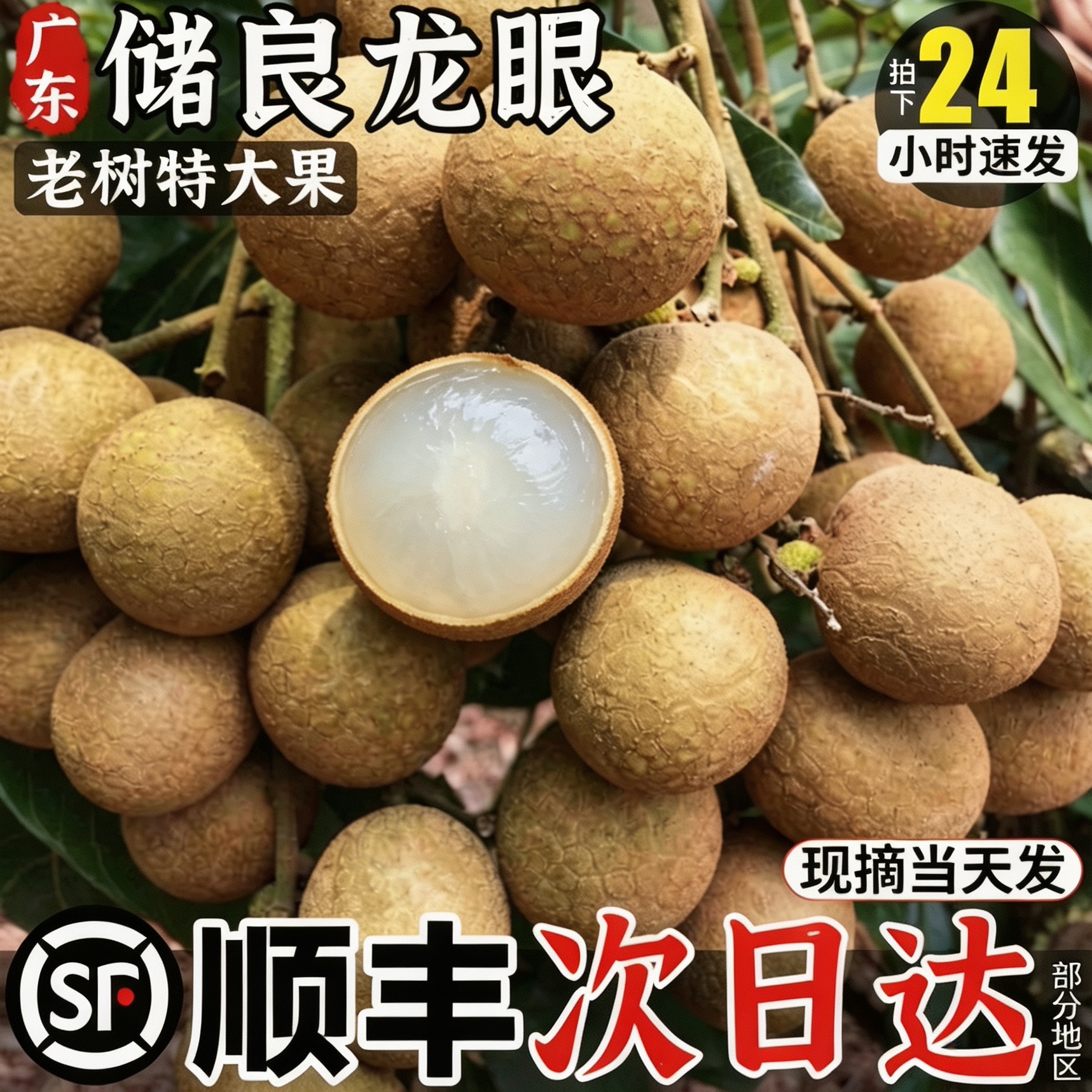 【官方推荐】A+级广东储良龙眼