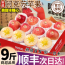 红富士整箱礼盒 正宗阿克苏冰糖心苹果新鲜水果10应季 新疆直发