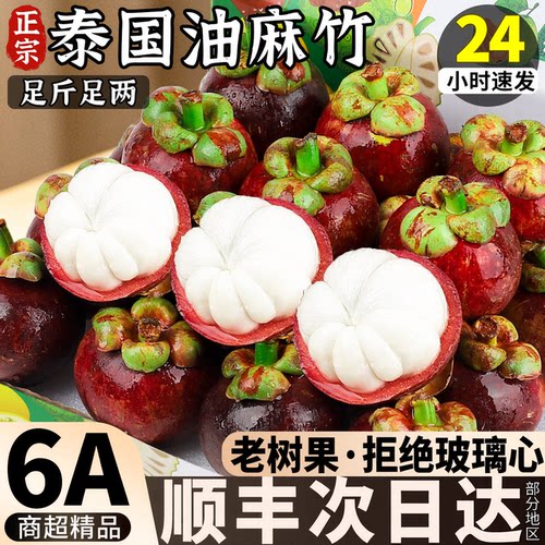 【真6A】泰国当季进口油麻竹！