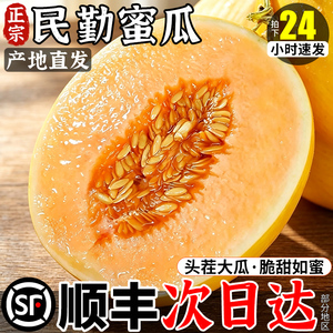 顺丰甘肃民勤蜜瓜沙漠黄河甜瓜哈密新鲜水果当季整箱时令香金红宝
