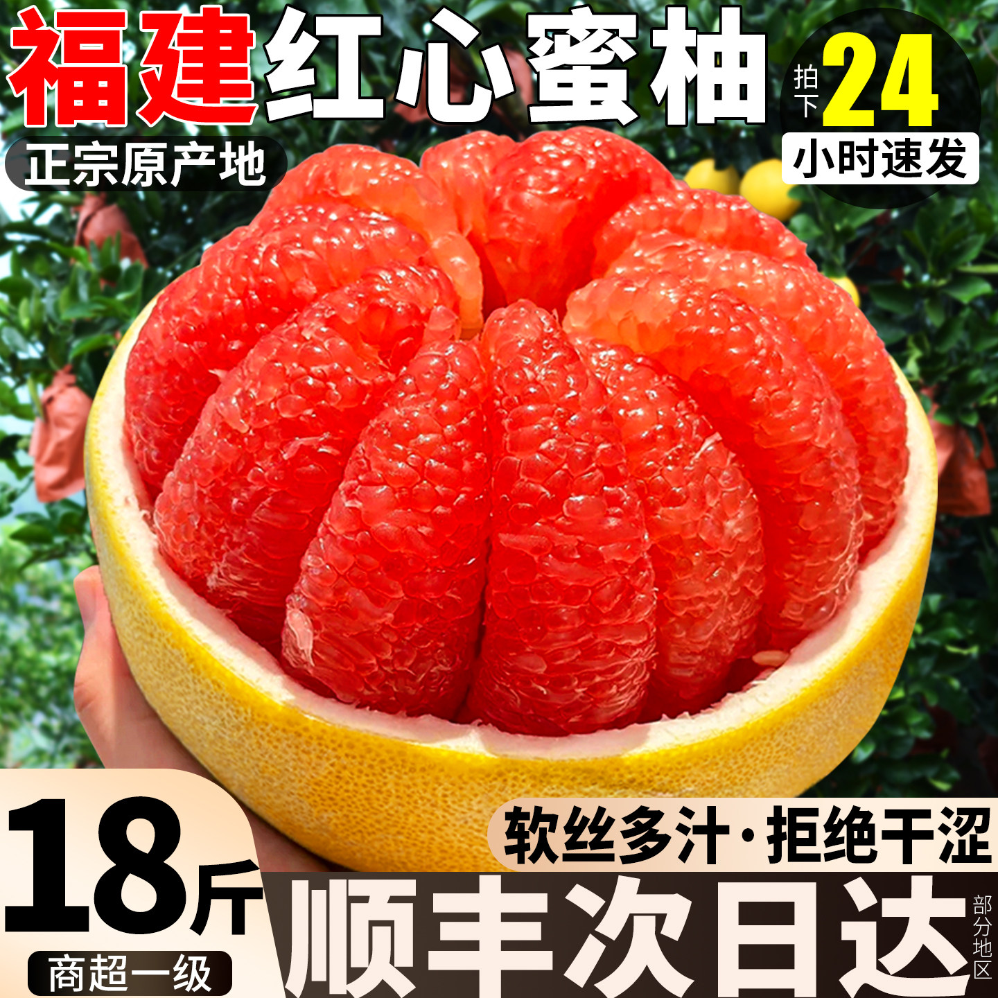 【官方推荐】热销平和红心蜜柚