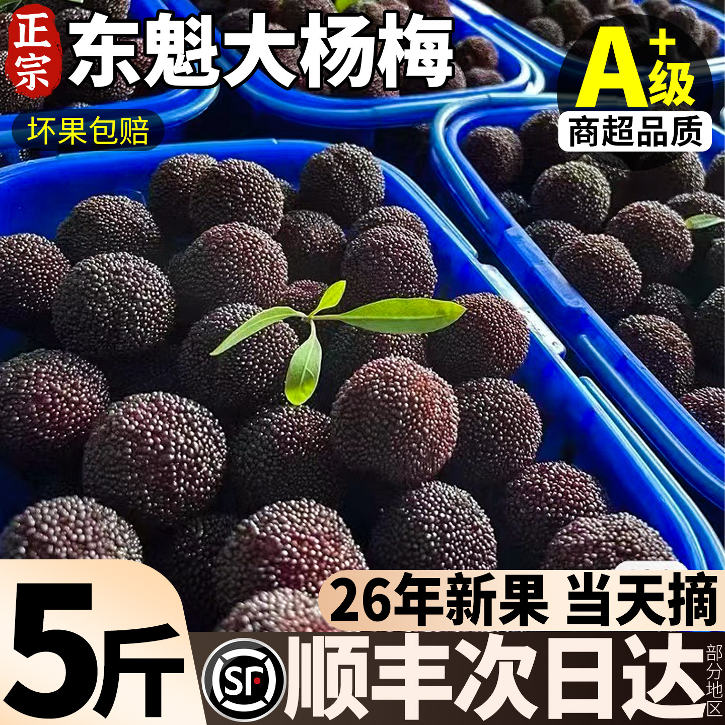 顺丰空运杨梅鲜果漳州浮宫现摘现发福建新鲜水果东孕妇魁仙大果居