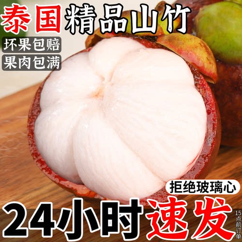 【官方推荐】泰国进口正宗油麻竹