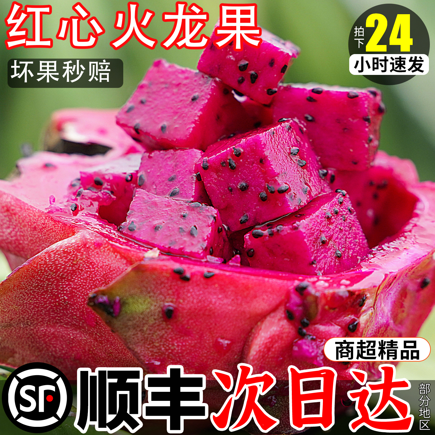 【顺丰可选】红心火龙果特大果
