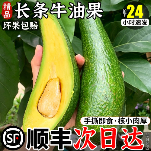 顺丰次日达丨肉更厚的牛油果