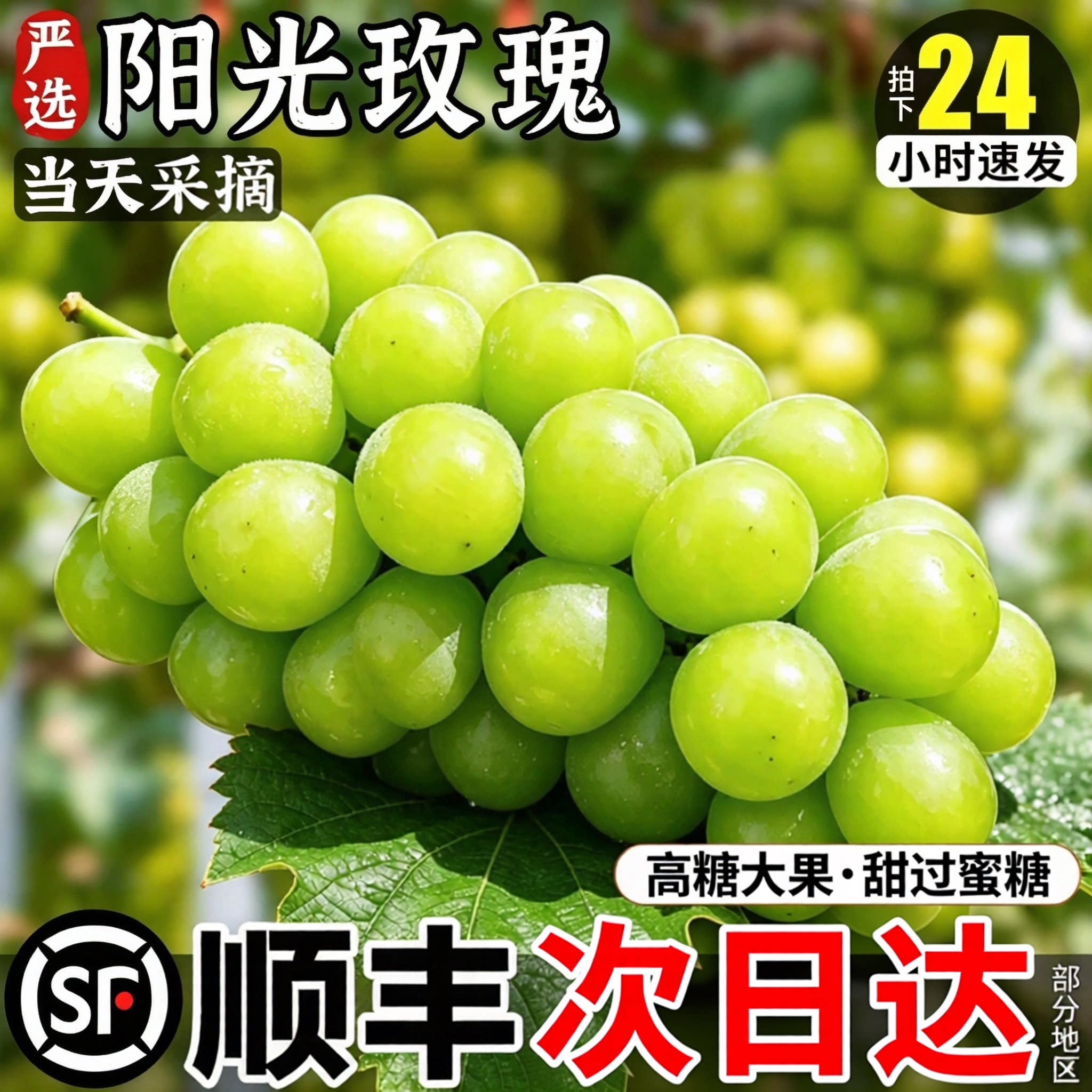 顺丰次日达丨TOP级产区阳光玫瑰