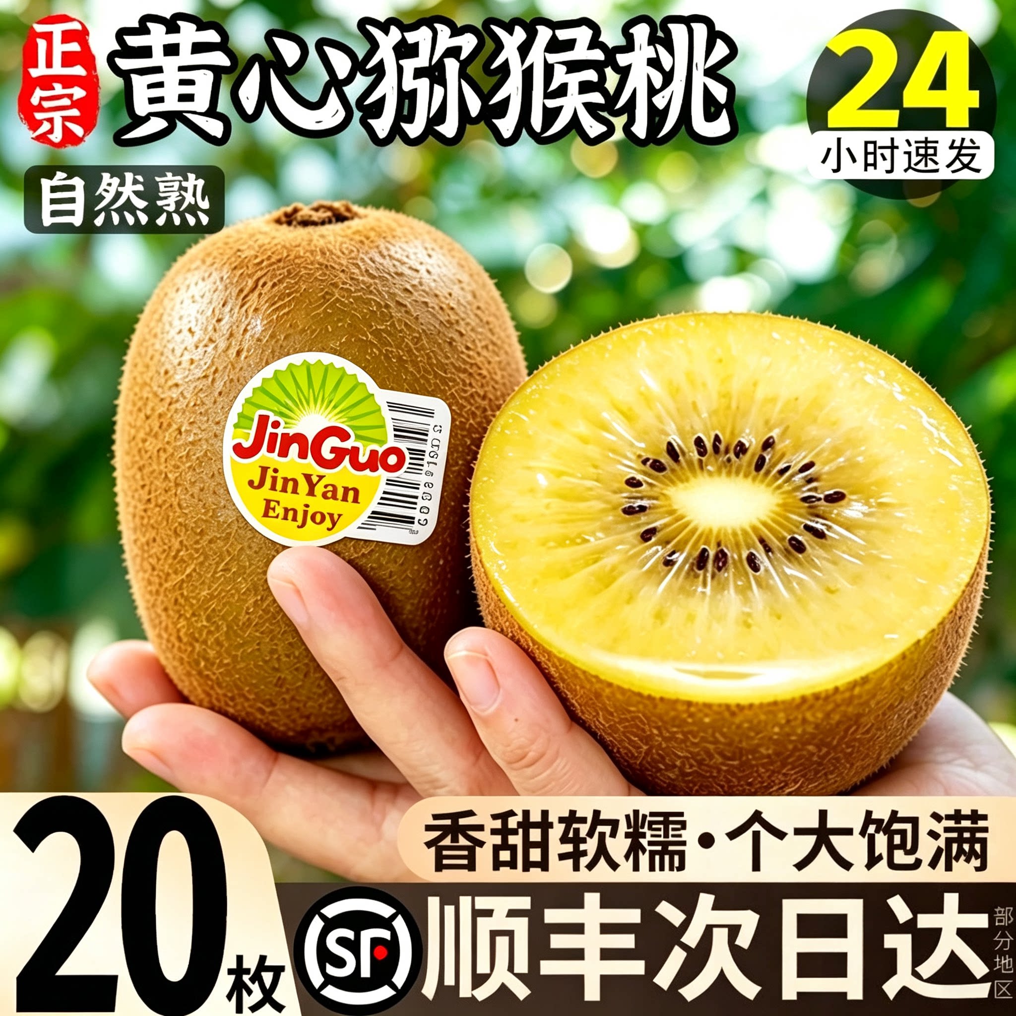 【官方推荐正品】黄心猕猴桃顺丰
