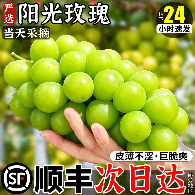 顺丰次日达丨TOP级产区阳光玫瑰
