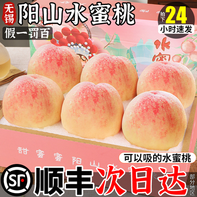【官方正品假一罚十】阳山水蜜桃