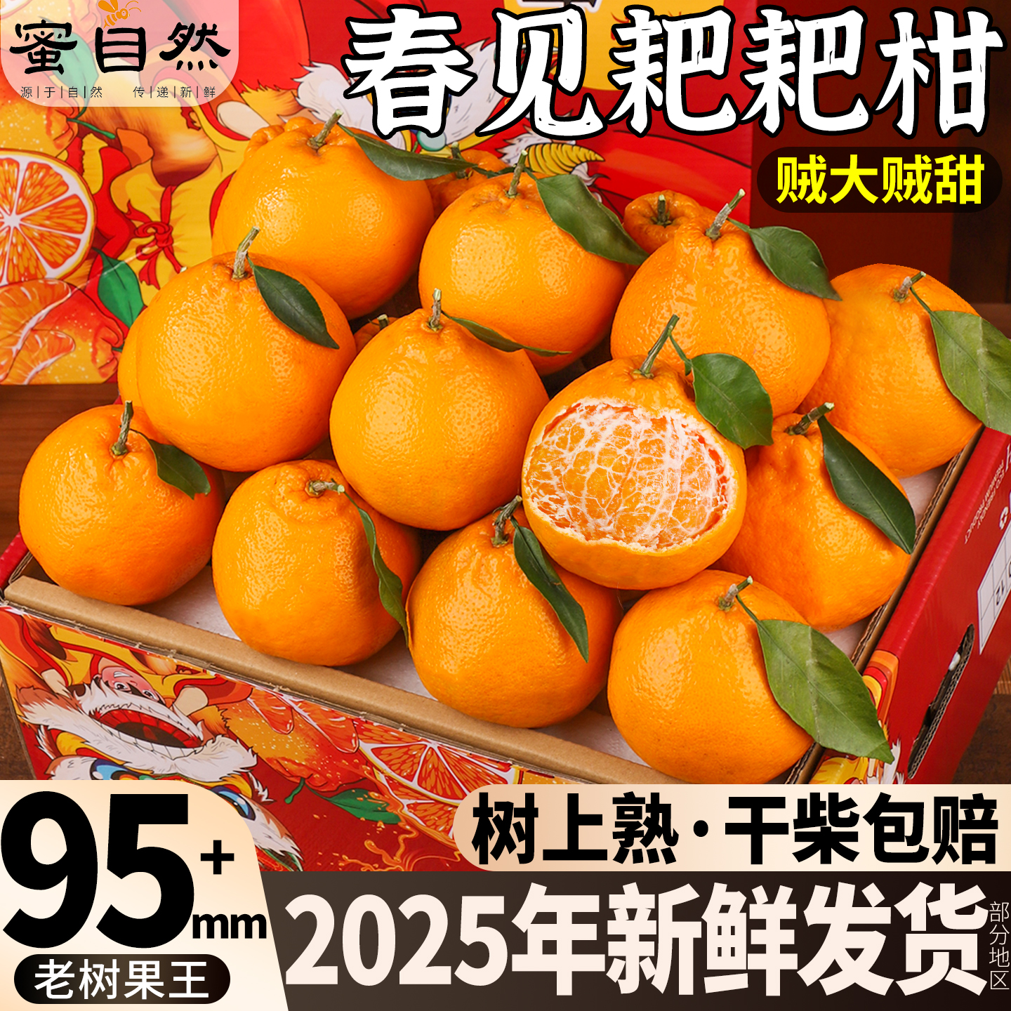 【产地直发】正宗耙耙柑现摘！