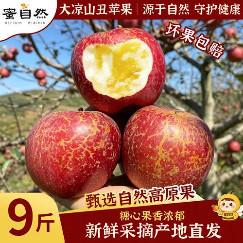 大凉山丑苹果当季现摘
