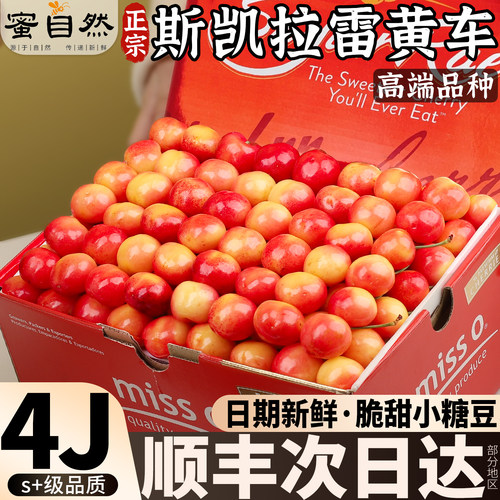 顺丰SkylarRae|高端黄金车厘子