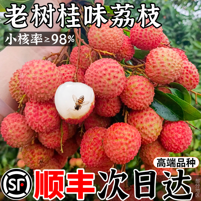 【小核率≥99%】顺丰桂味荔枝5斤