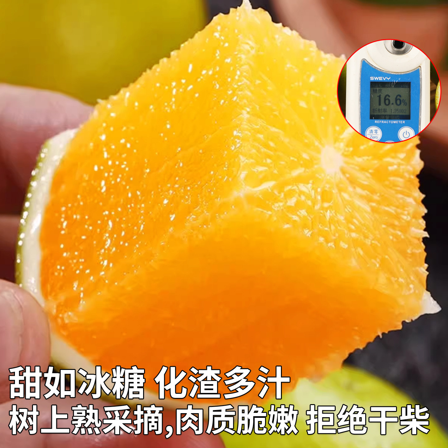 现摘当天发丨正宗云南冰糖橙爆汁