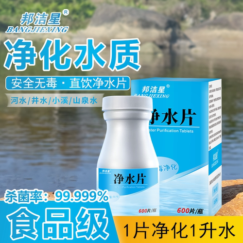 战备食品级净水片