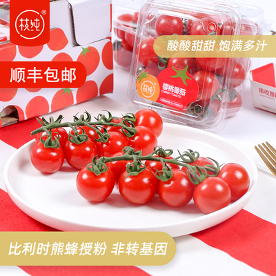 枝纯樱桃番茄198克串收小番茄