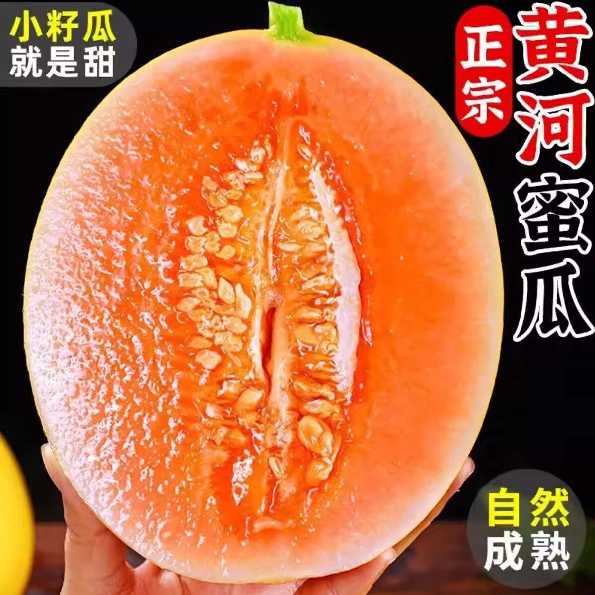 黄河蜜甜瓜新鲜水果当季甜瓜整箱包邮黄金脆香瓜哈密瓜斤甘肃民勤