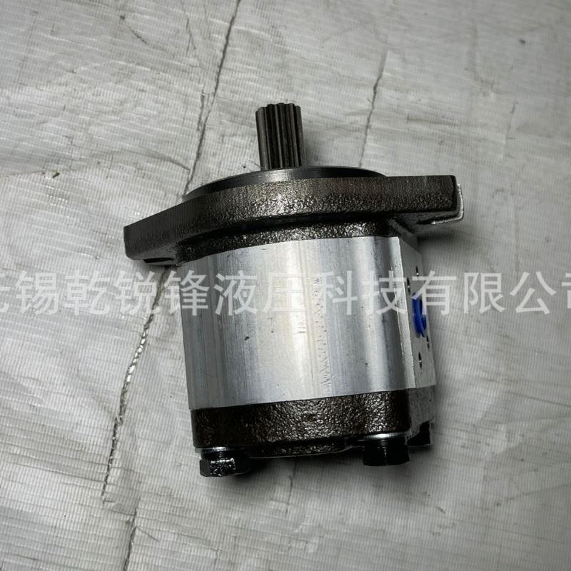 GHP1A-D-2-FG 高压齿轮泵 采煤机 掘进机