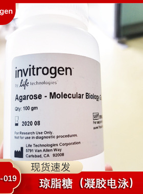 Invitrogen 琼脂糖 Agarose 100g 质检电泳实验专用 货号75510019